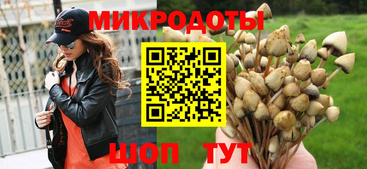 Галлюциногенные грибы MAGIC MUSHROOMS  Вход с VPN  Луховицы 