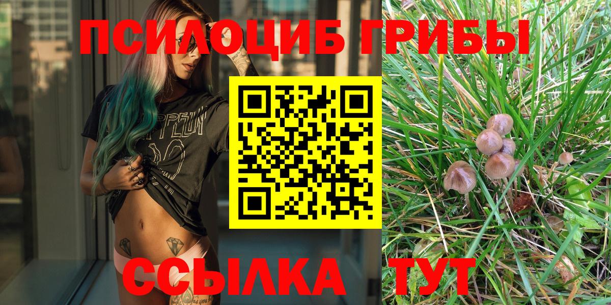 Псилоцибиновые грибы прущие грибы Луховицы